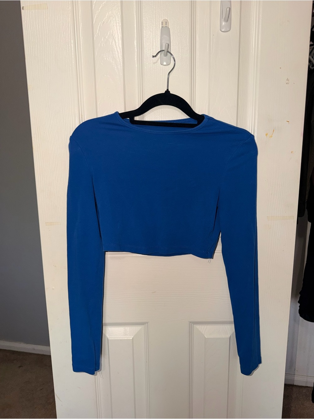 Blue Women's Long-Sleeve Cropped Top